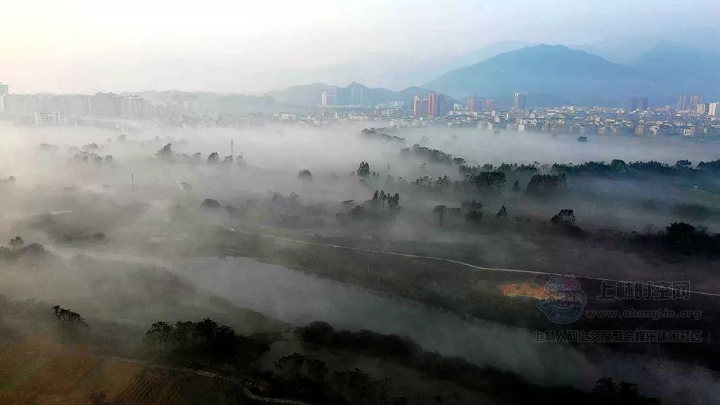 万词王
