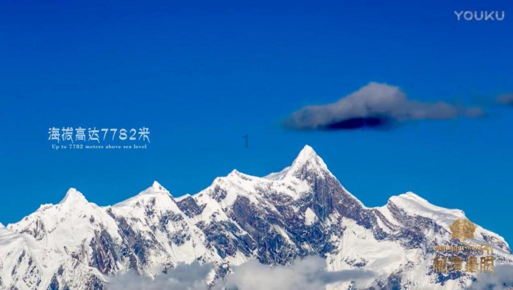 燃烧吧大脑装瓶子游戏